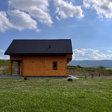 Gospodarstwo Agroturystyczne Bieszczadzki Blizniak Baligród Exterior foto